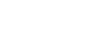 Platform and workflow by OJS / PKP